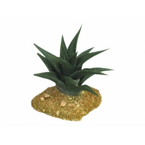 HAQUOSS CACTUS 6 - 11,5x11x10,5h cm